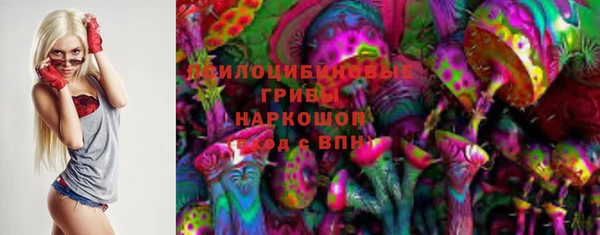 PSILOCYBIN Богданович