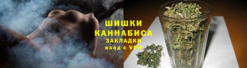 где купить наркоту  Заинск  Бошки Шишки White Widow 